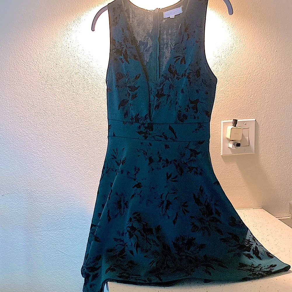 🤑SOLD🤑 Vintage, Velvet & Verve Floral EUC Dress (S) - Picture 2 of 6